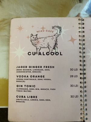   at Miau in Bucharest