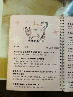   at Miau in Bucharest