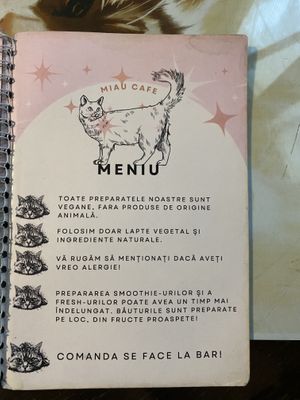   at Miau in Bucharest