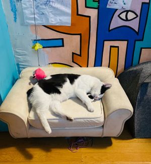  at Miau in Bucharest