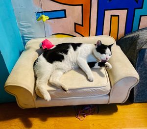  at Miau in Bucharest