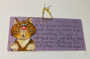  at Miau in Bucharest