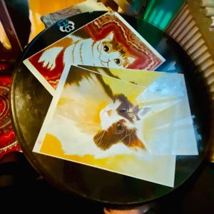  at Miau in Bucharest