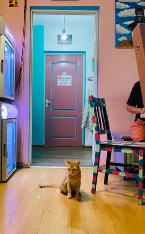  at Miau in Bucharest