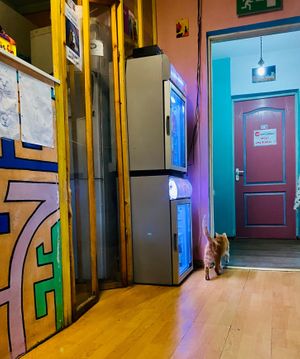  at Miau in Bucharest