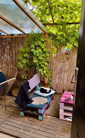  at Miau in Bucharest