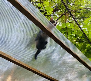  at Miau in Bucharest