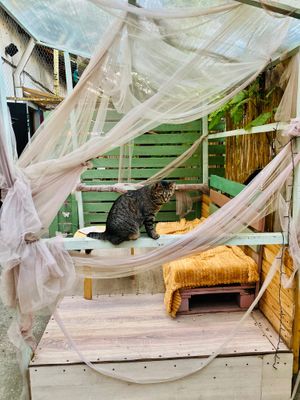  at Miau in Bucharest