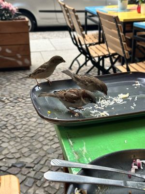   at Chutnify - Sredzkistr. in Berlin