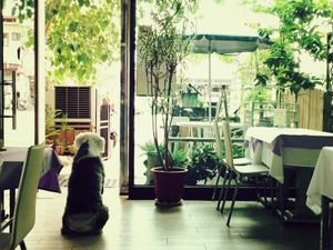 Outdoor green space at Le Jardin du Petit Prince in Taichung