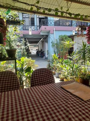  at Tara's Vegetarian Restaurant in Pokhara