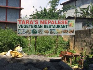 c at Tara's Vegetarian Restaurant in Pokhara