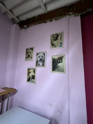   at A Darle Que es Taco Vegano - Churubusco in Mexico City