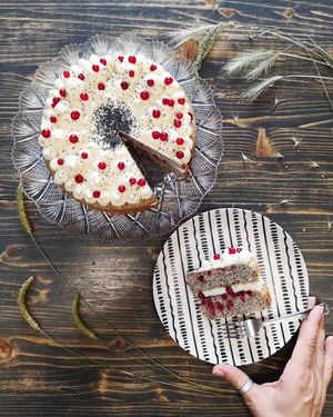 Poppyseeds cake with red currant at MoMo Veg Cafe  in Prague