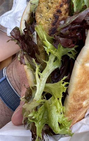   at Alexander's Greek Cuisine in Roseburg