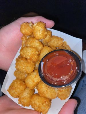 Tots  at Arlo's Food Truck - Spider House Cafe in Austin