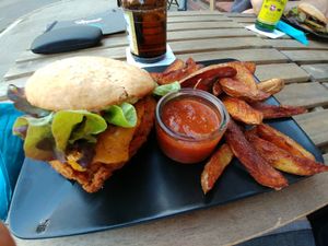 Ein geflügelter Traum - ohne Flügel at Universum in Hannover