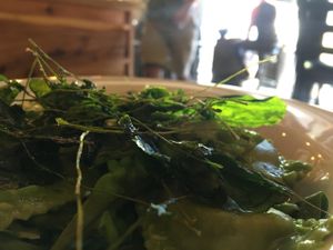 Homemade spinach ravioli with watercress at Of Roots and Blooms - Pop-up in Portland