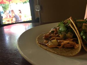 Tropical tacos at Of Roots and Blooms - Pop-up in Portland