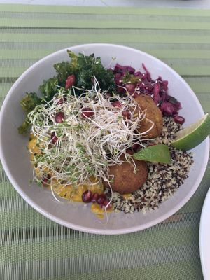 falafel bowl at Zielona in Lodz