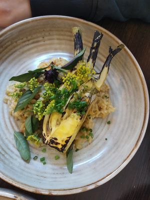 fennel & risotto at WILD in Antwerpen