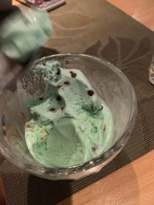 Mint choc chip ice cream at Go Zen in New York City