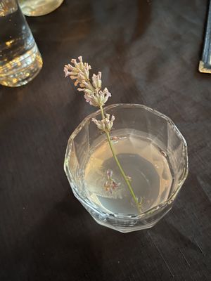   at Harvest Beat in Seattle