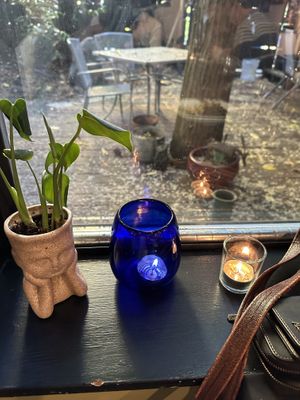   at Harvest Beat in Seattle