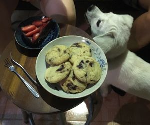 Cookies, chocolate cake and the cutest dog ever! go there! at La Studio in Hanoi