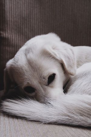  at La Studio in Hanoi