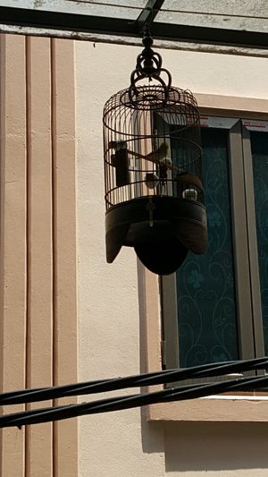 Bird in small cage at La Studio in Hanoi