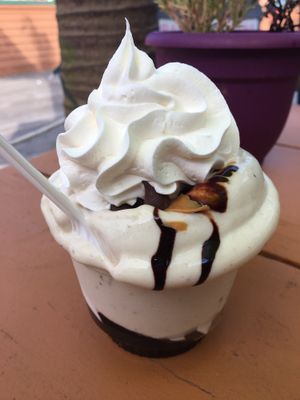 Chocolate pnut butter whip at Bashful Banana in Ocean City