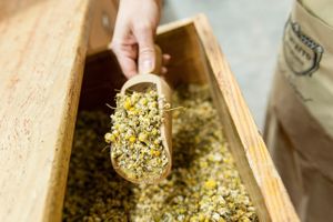 Herbolario Navarro Alboraya. at Herbolario Navarro - Alboraya in Valencia