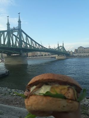 Best vegan burgers in Buda! at Vegan Love in Budapest