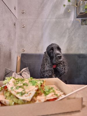 Chick'n quesadilla with my friend, Smiley at Vegan Love in Budapest