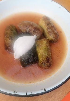 Stuffed cabbage with sour cream at Apteka in Pittsburgh