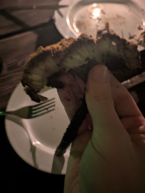 Sunflower was fun and interesting. Can't get it anywhere else I know of at Apteka in Pittsburgh