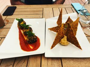 Our starters at Eqvita in 