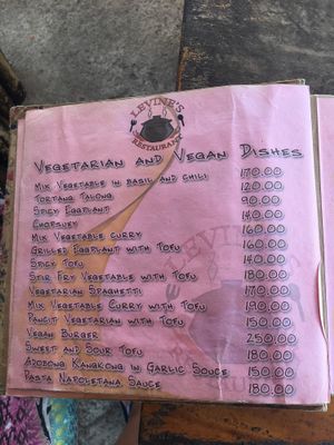 Menu at Levine's Eatery in Coron