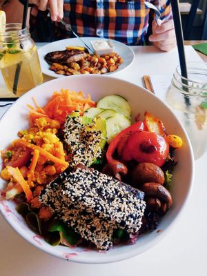 Tofu bowl, ice teas and quinoa chicken schnitzel with rosemary potatoes at Green Lion in Nuremberg