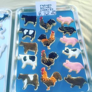 Farmed animal cookies at Pogona Baking Company in Orlando