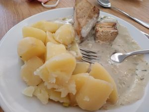 Tasty tofu with dille sauce and boiled potatoes at Lunter Shop & Bistro in Banska Bystrica