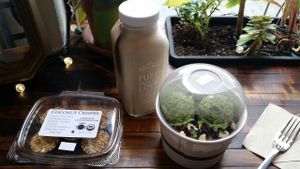 divine lunch at Sun & Soil Juice Company in Sacramento