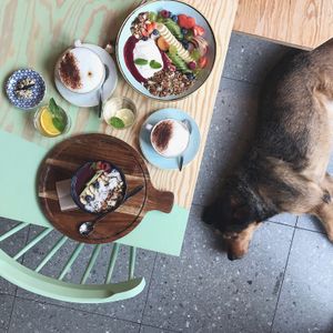 Breakfast Bowls at PLUS in Ghent