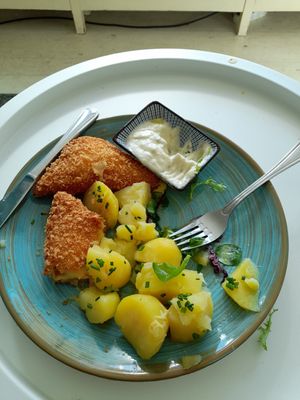 Breaded fried vegan cheese with cooked potatoes and vegan tartar sauce at Herbivore in Prague
