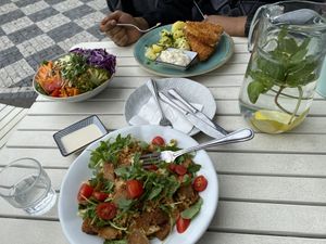 Penne, Buddha bowl & fried cheese at Herbivore in Prague