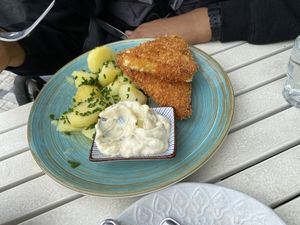 Fried cheese with potatoes & tarter sauce  at Herbivore in Prague