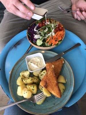   at Herbivore in Prague