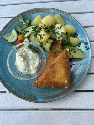 Fried cheese with potato and tartar Sauce  at Herbivore in Prague