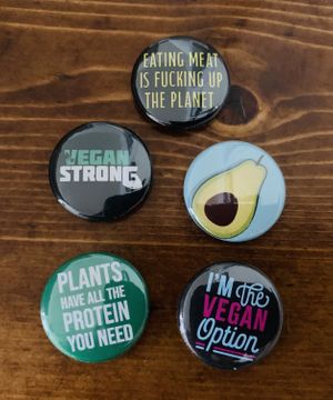 Pins! at Herbivore Clothing in Portland